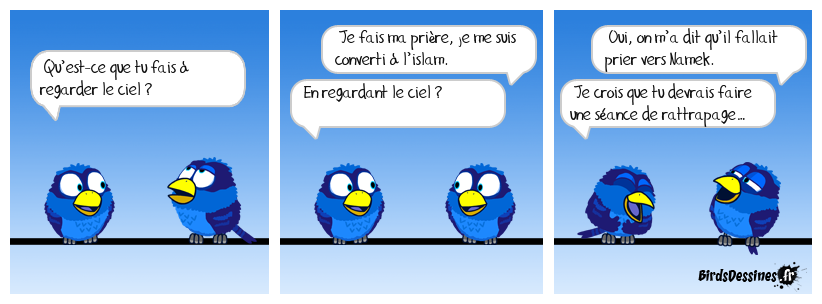 Erreur de direction