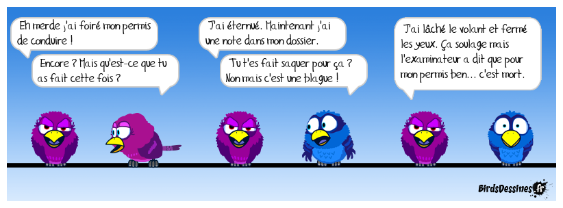 Permis de conduire raté
