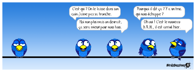 Un nouveau dans la place