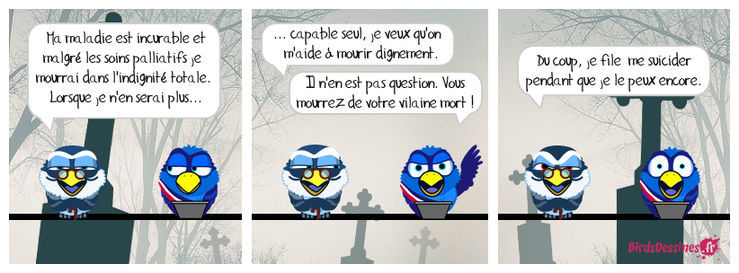 Débat sur la fin de vie