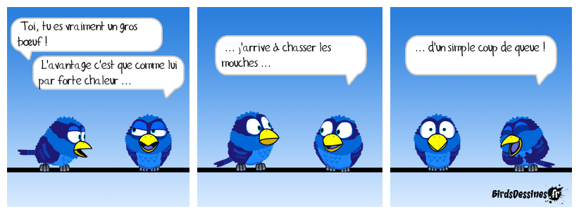 Demande à ta femme ... elle confirmera !