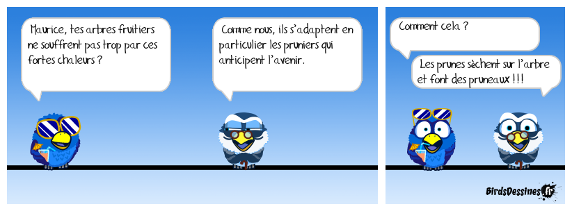 Le bon côté des canicules !