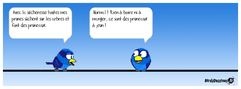 Bon côté de la canicule?