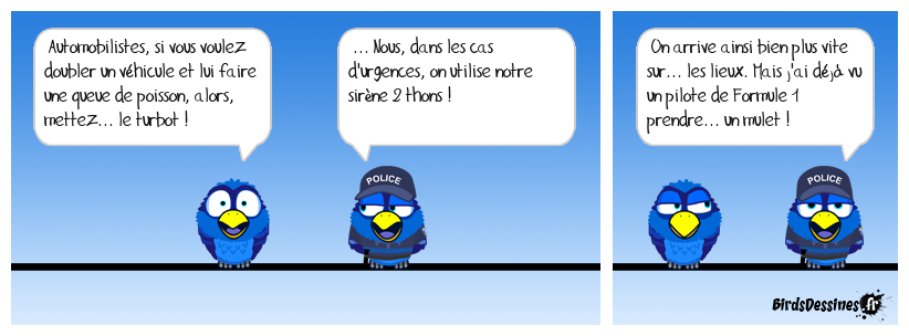Coups de filets !