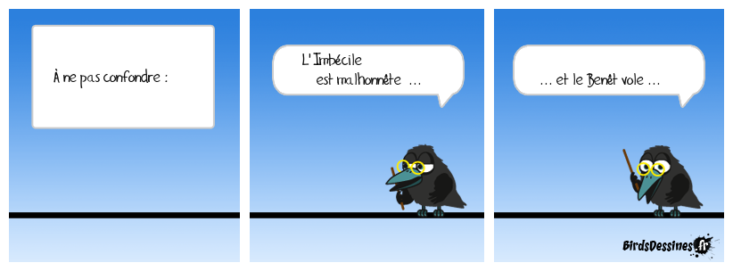pigeon ... vole ! ...