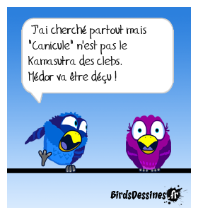 Canicule n'est pas le Kamasutra des clebs !!