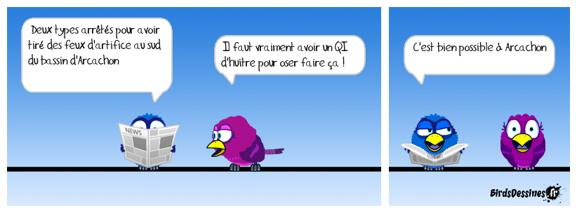 Un QI d'huître à Arcachon !