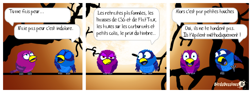 Pas tondus mais épilés !