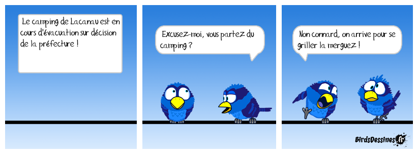 De plus en plus fort les journalistes de B.F.M T.V !