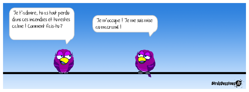 Dans le feu de l’action !