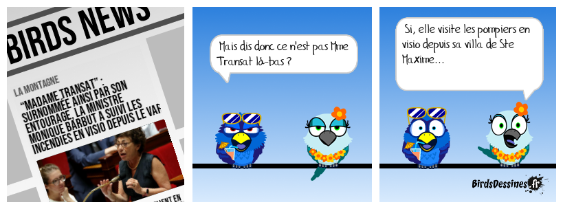 Madame Transat est en visio !