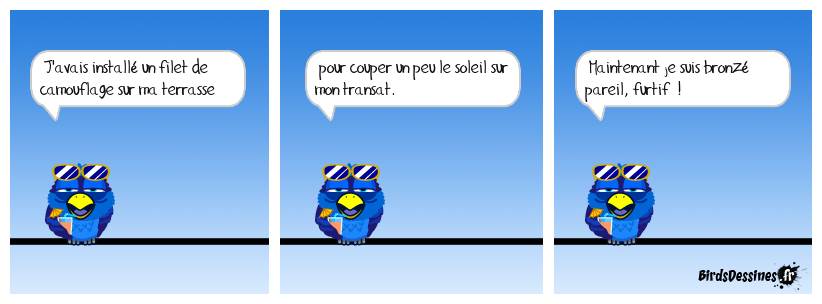L'homme invisible