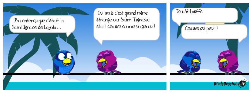 C'est la Saint Tignasse !
