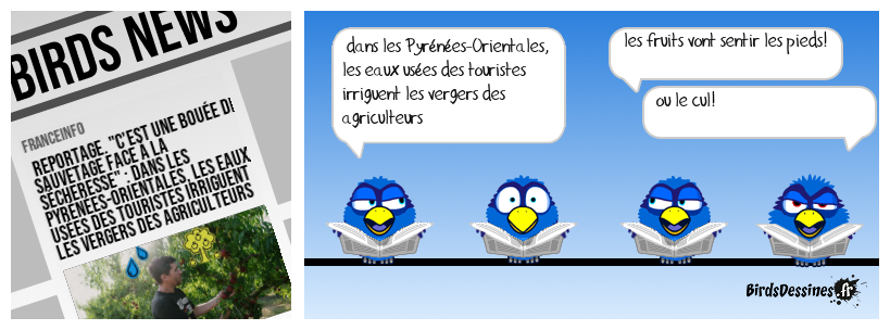 fruits de senteurs