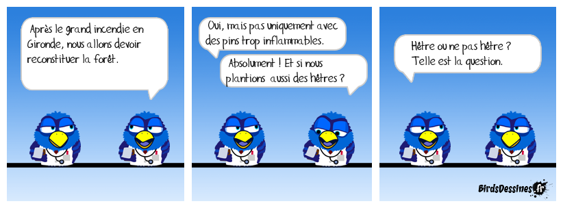 Les Birds au chevet de la forêt girondine 🩺