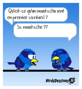 Le moustachu au réveil...