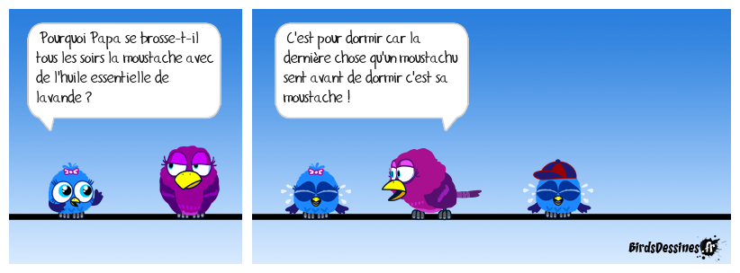 Le moustachu, le soir...