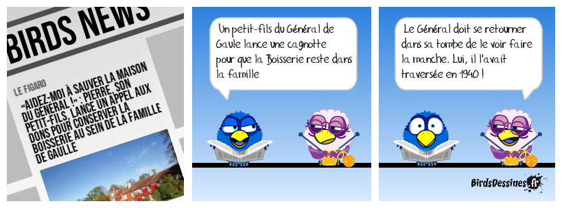 Les de Gaulle et la manche...