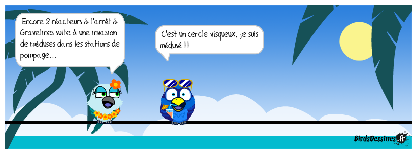 Le raz d'eau de la méduse à Gravelines !