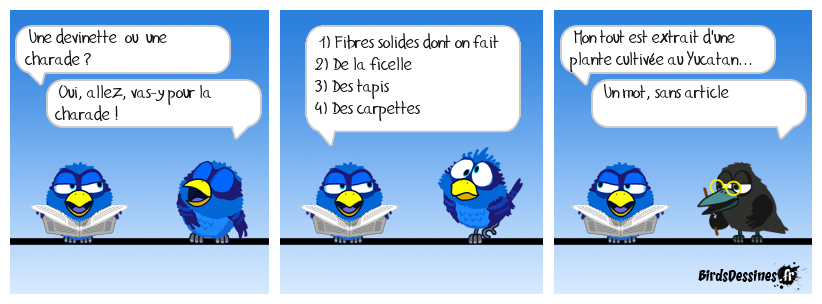 Charade du jour, bonjour !