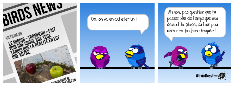 Le miroir trompeur...