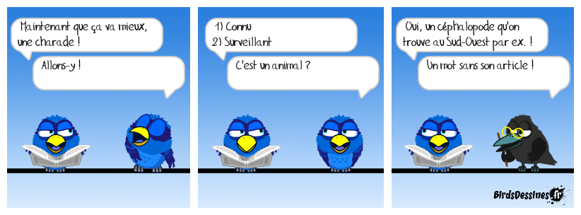 charade du jour bonjour !