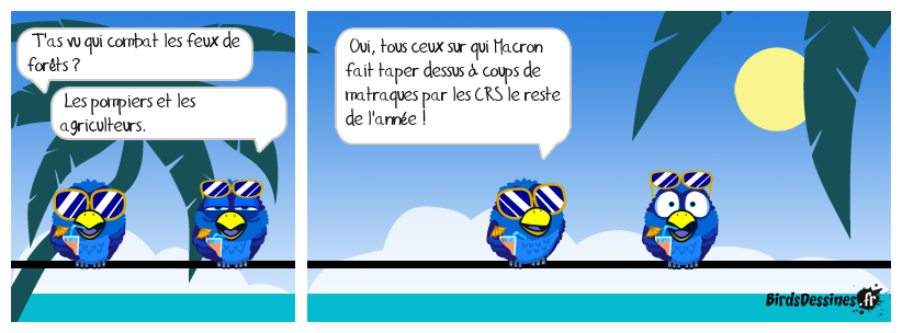 Ce n'est qu'un constat.