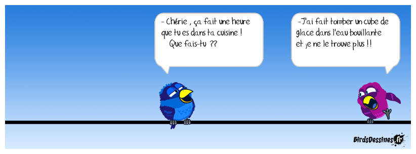 je bois mon whisky sans glace