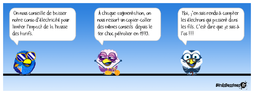 Le marronnier des conseils EDF !
