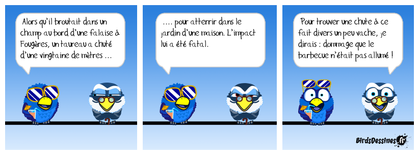 Tombé du ciel !