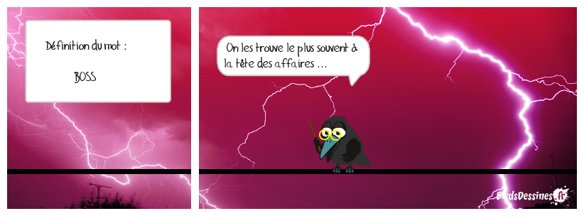 ceux qui ont la bosse du commerce ...