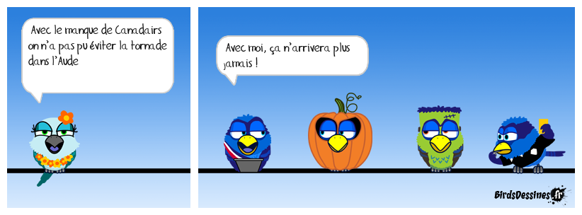 chat rade