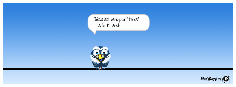 La mi-Aout  fête des chats