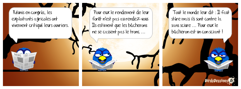 du pin sur la planche