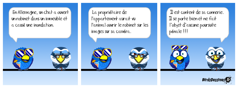 Il « matou » inondé !
