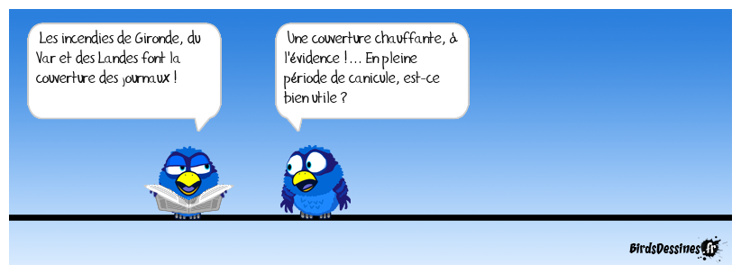 Les incendies...  sous les feux de l'actualité.