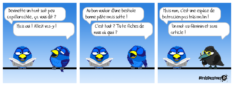 devinette du soir, bonsoir !