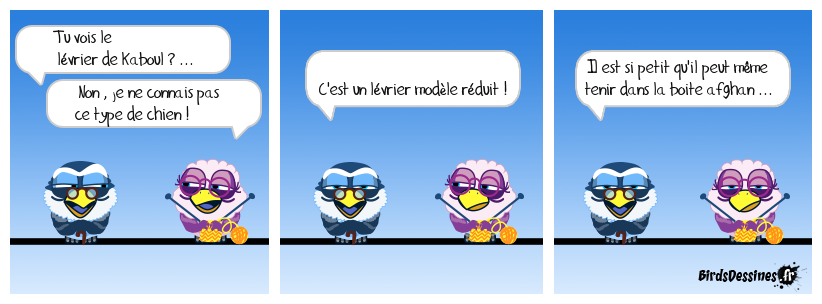 levons le voile sur ce chien ...
