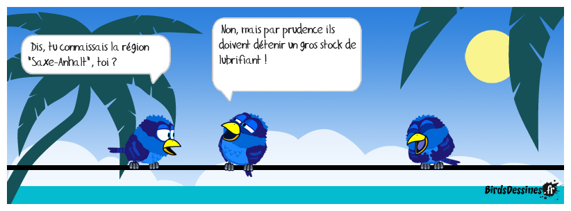 Ça glisse en Saxe-Anhalt...