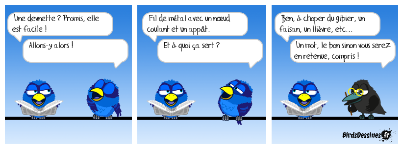 devinette du jour, bonjour !