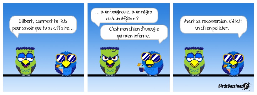 Pendant ce temps, à Carcassonne...