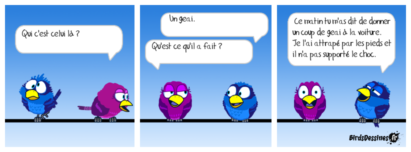 Il y a jet et geai