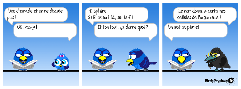 Charade du jour, bonjour !