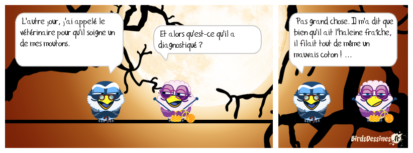 pas une brebis galeuse ...
