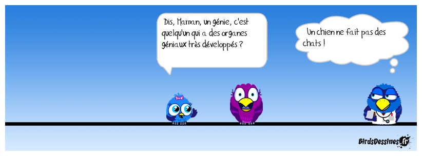 C'est quoi, un génie ?