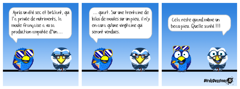 La moule française est en souffrance !