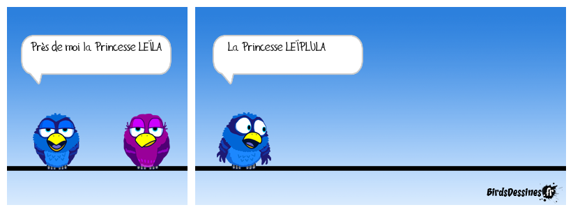 Disparition d'une Princesse .
