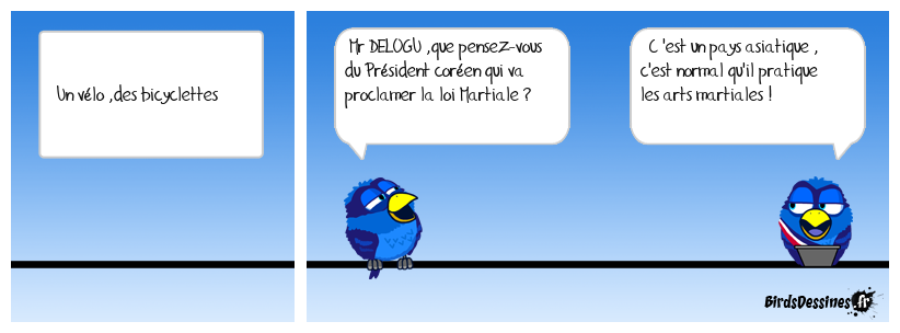 Un vélo ,des bicyclettes