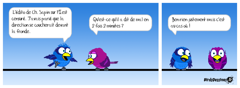 Ch. Sapin interdit d'édito au cas où...