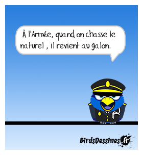 Pas à l'armée pour si peu ...